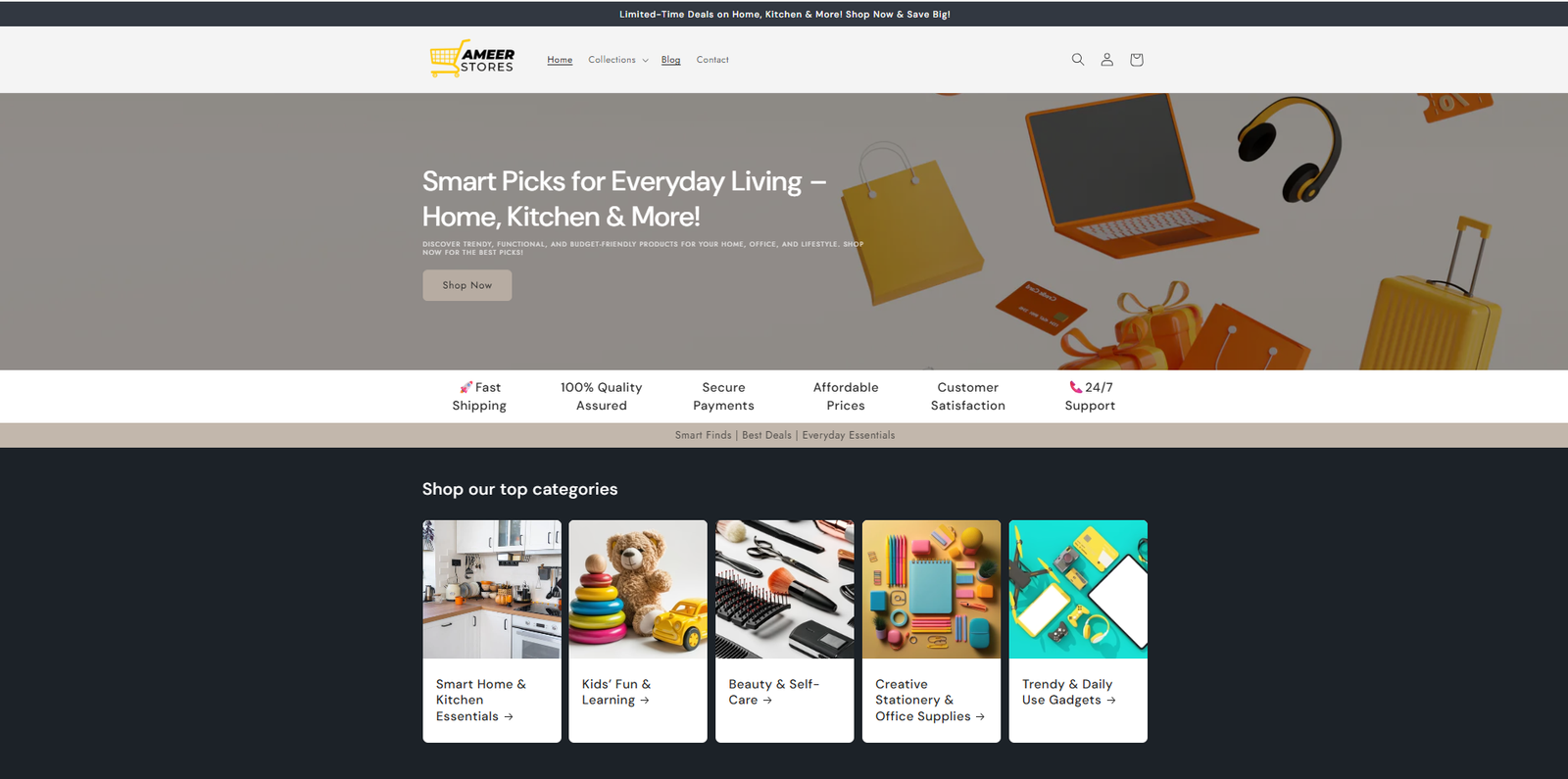 Screenshot of Ameer Store website designed by Milan Thomas