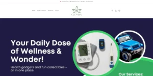 Screenshot of Clomxa Store website designed by Milan Thomas